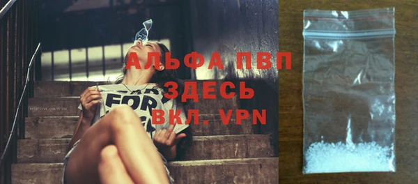 шишки Мегион