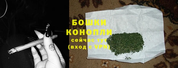 молекула духа Медвежьегорск