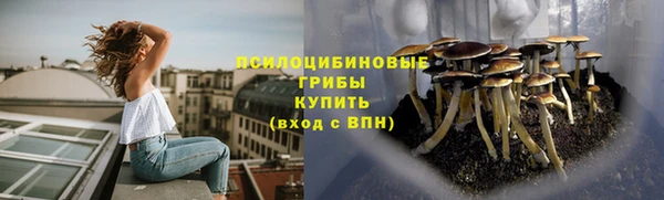 молекула духа Медвежьегорск