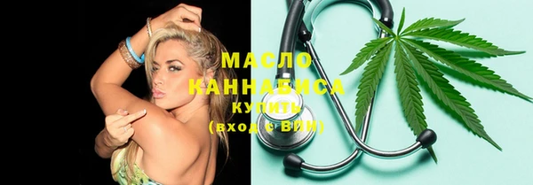 молекула духа Медвежьегорск