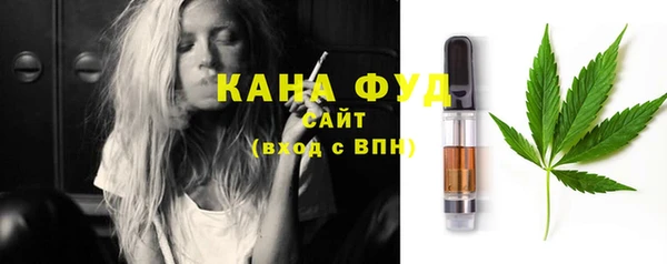 шишки Мегион