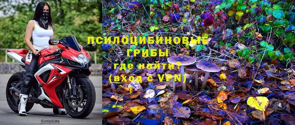 шишки Мегион