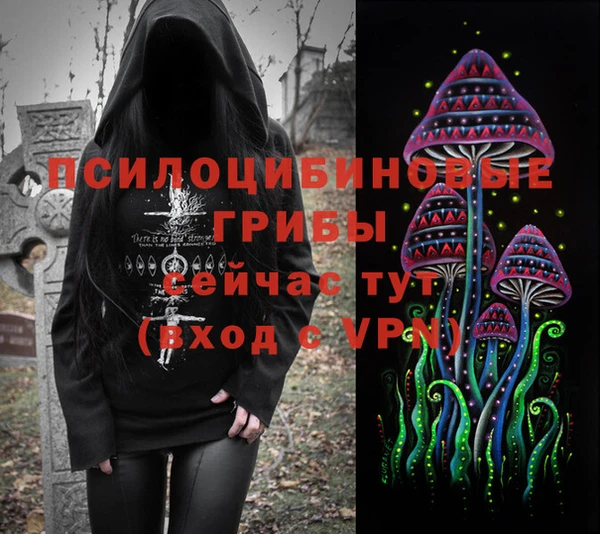 молекула духа Медвежьегорск