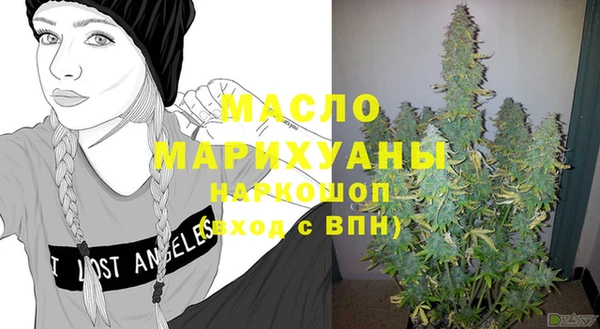 молекула духа Медвежьегорск