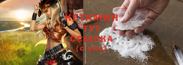 шишки Мегион