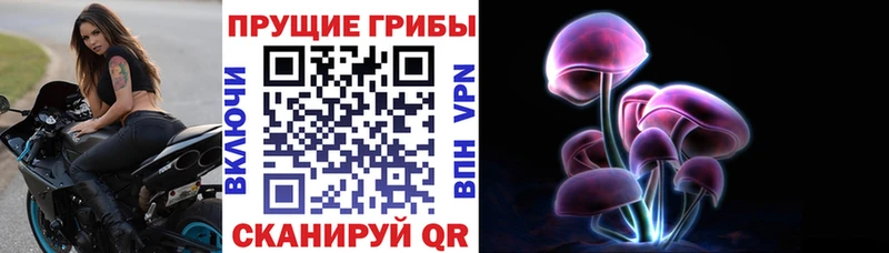 Купить  Мосальск  Галлюциногенные грибы Psilocybe 